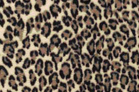 Snow Leopard